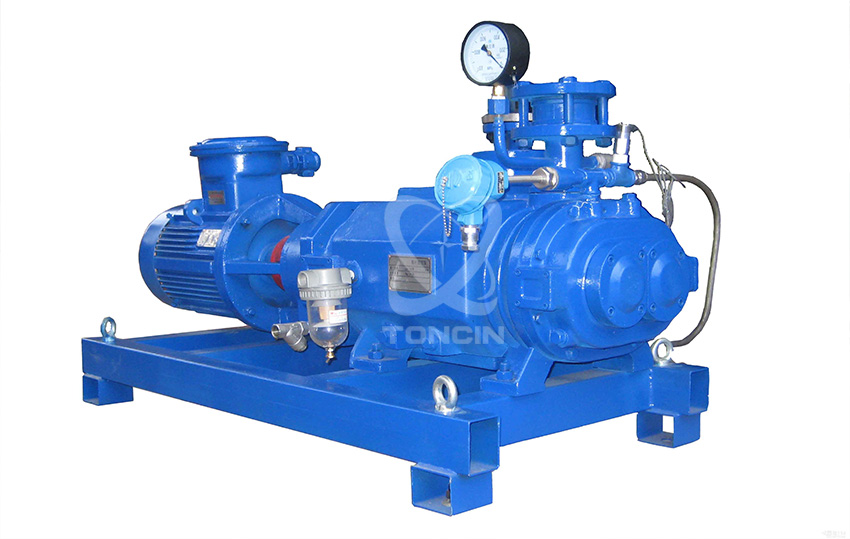 2BV China Electric Pumps Liquid Water Ring Vacuum Pump